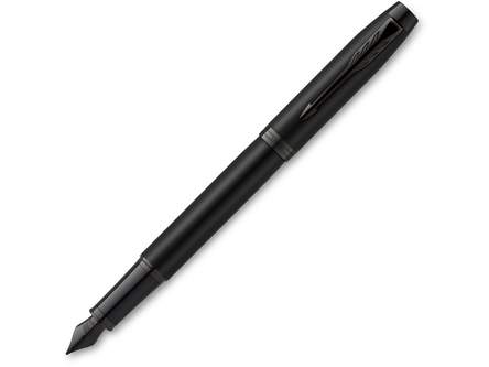 Ручка перьевая Parker IM Achromatic Matte Black BT