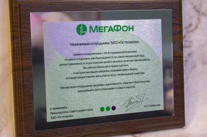 С комбинацией двух металлических текстур Изготовление дипломов - примеры наших работ