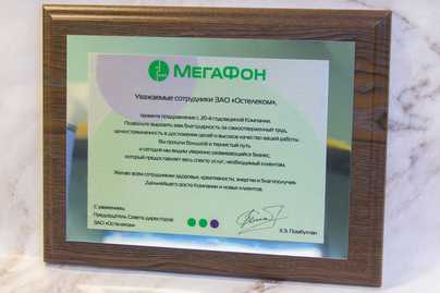 С комбинацией двух металлических текстур фото №1 Изготовление дипломов - примеры наших работ