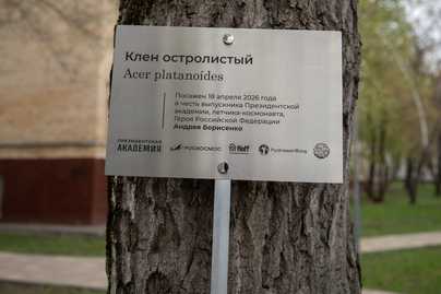   - примеры наших работ