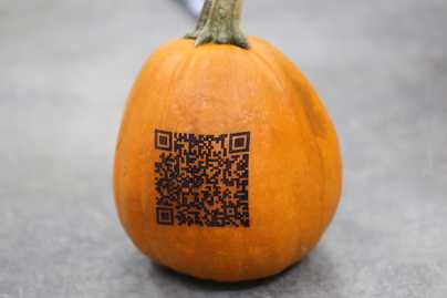 QR-код на тыкве Другие изделия - примеры наших работ