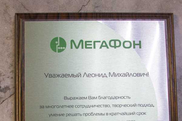 Изготовление дипломов - примеры наших работ