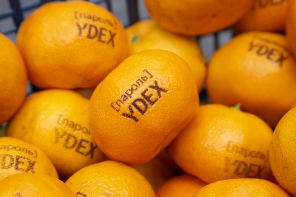  фото №1  - примеры наших работ