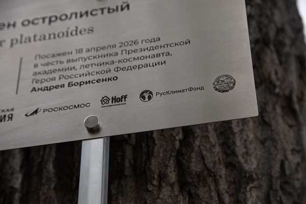   - примеры наших работ