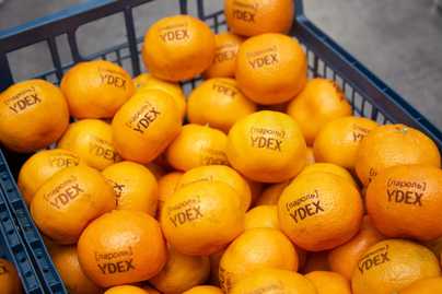 Брендирование мандаринов Другие изделия - примеры наших работ