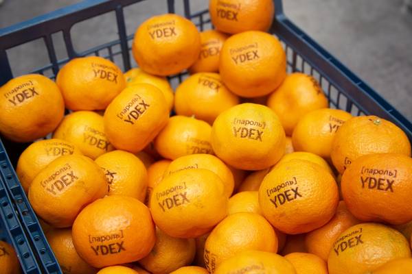 Брендирование мандаринов  - примеры наших работ